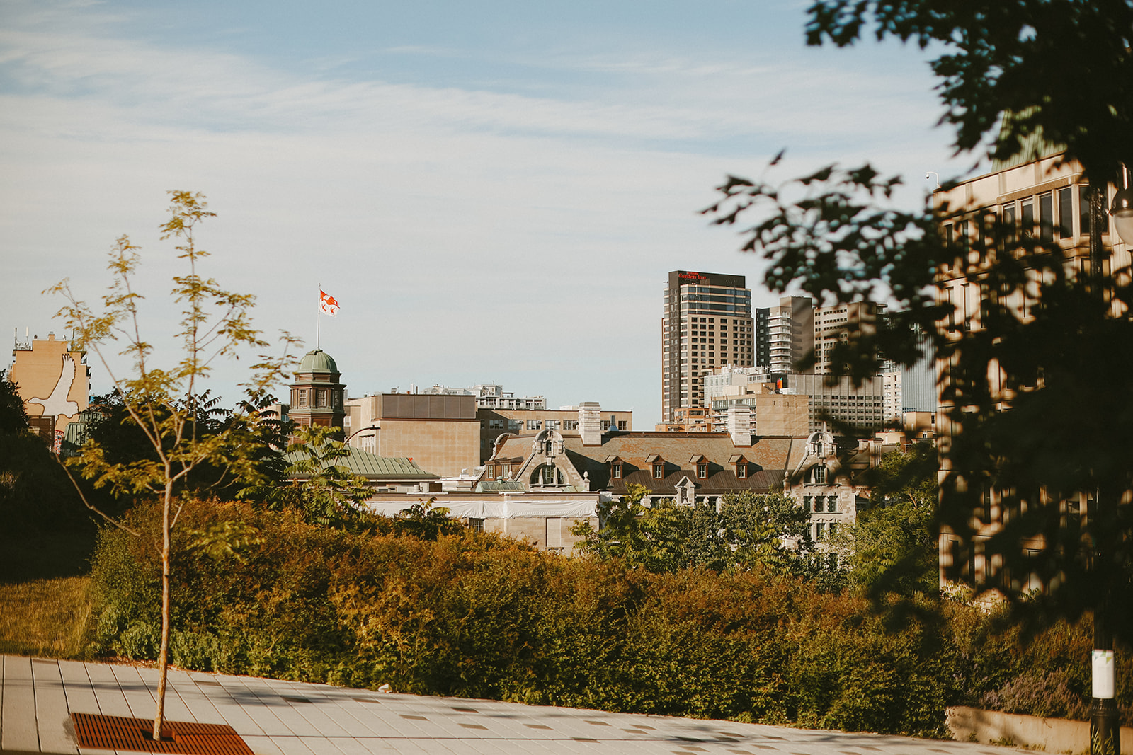 Montreal city landscape.