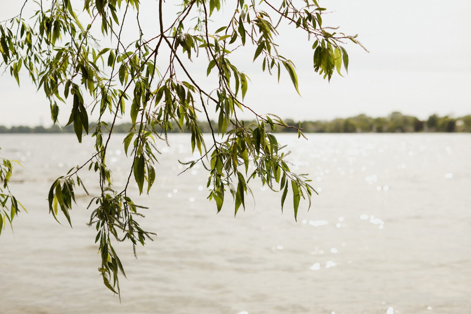 Wedding Photography - Kingston ON
First Look - Lake Ontario with branch in front