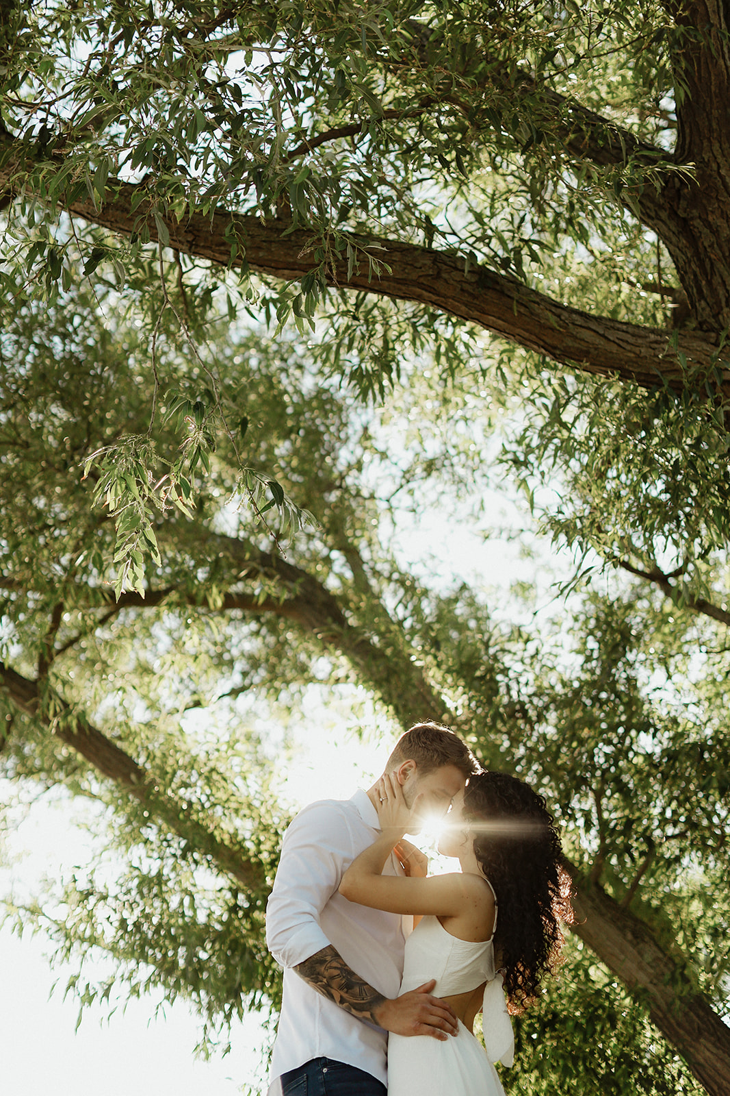 Man and woman under foliage with sun shining on them. 