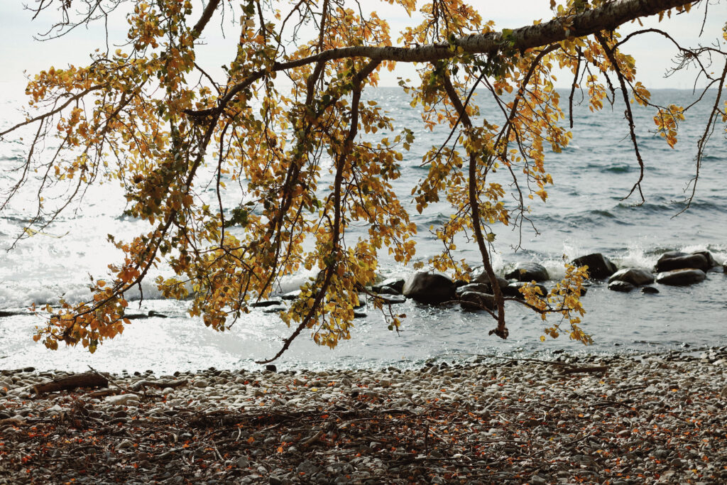 Image on Kingston Ontario Lakeshore