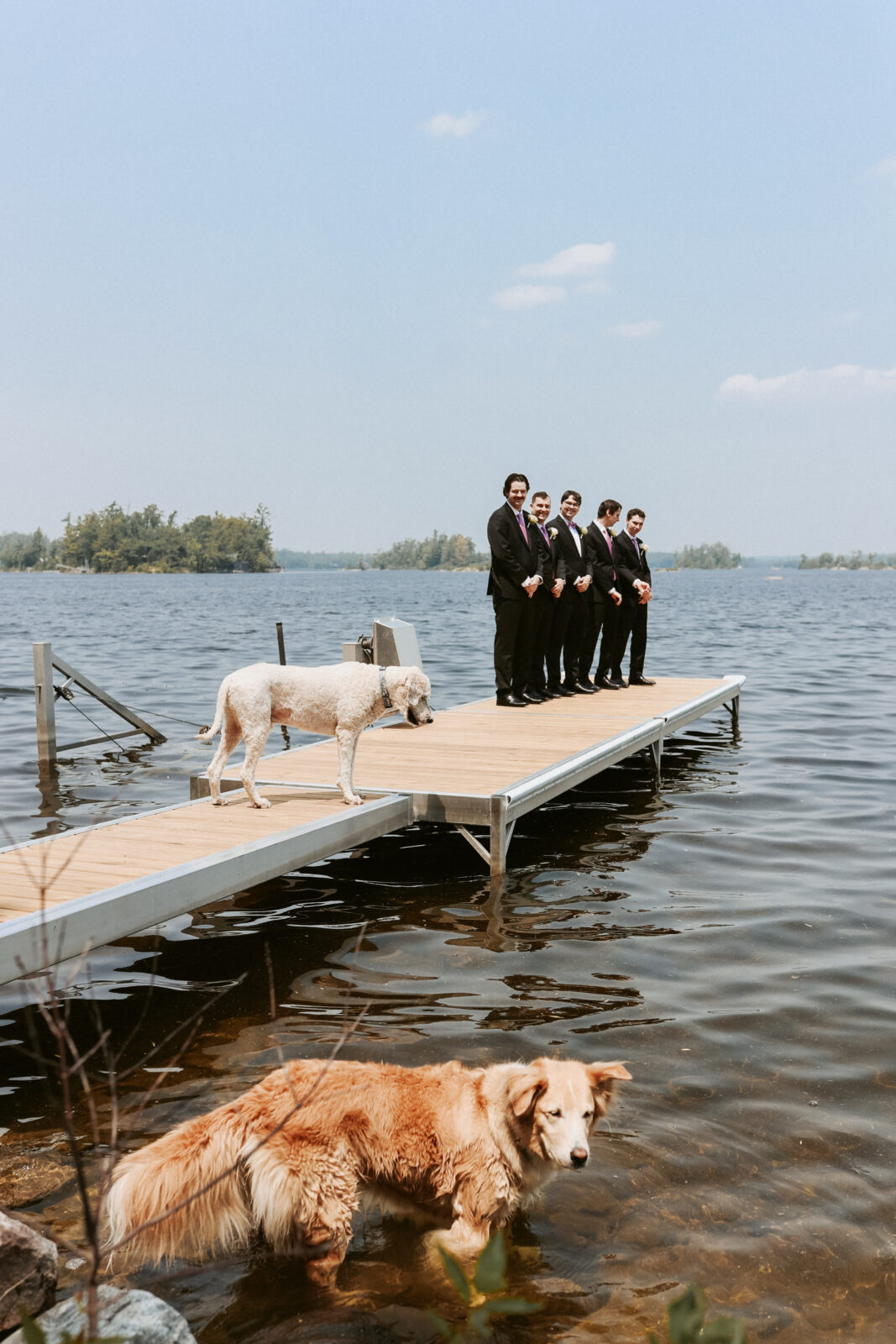 Groomsmen stand on dock while two dogs play in the water. 