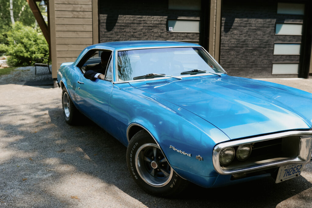 Blue firebird