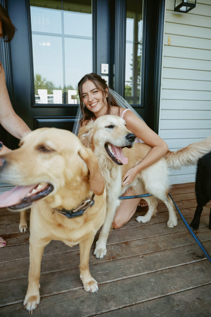 Bride plays with dogs
