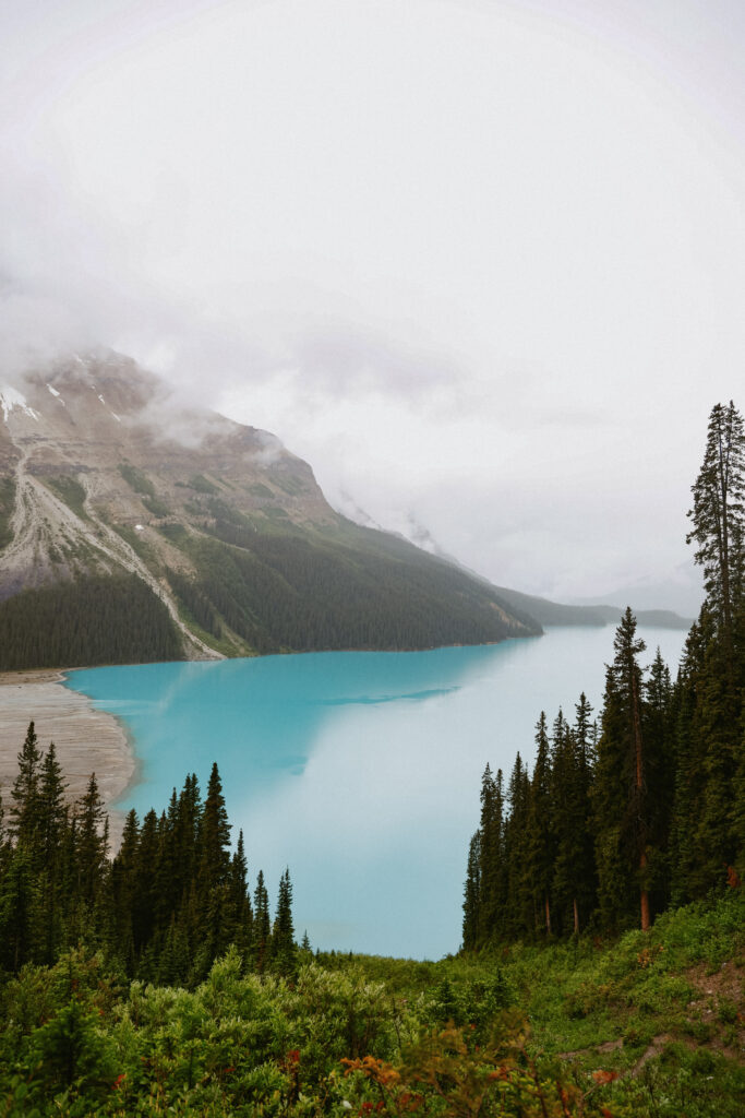 landscape of blue lake with greenery 