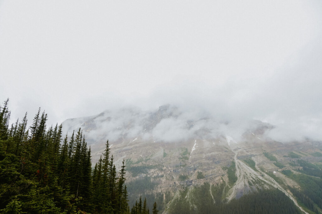 Alberta mountain with trees