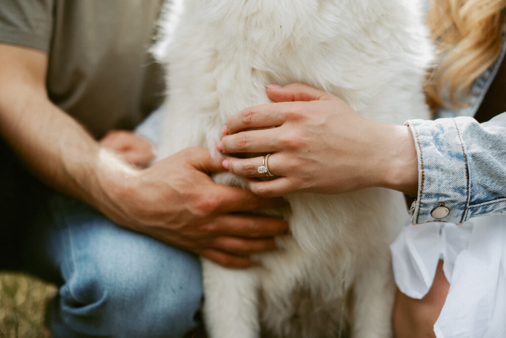 engagement photoshoot, Alberta 