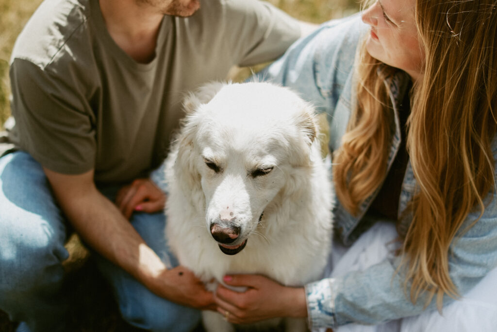 Couple hugs their dog.