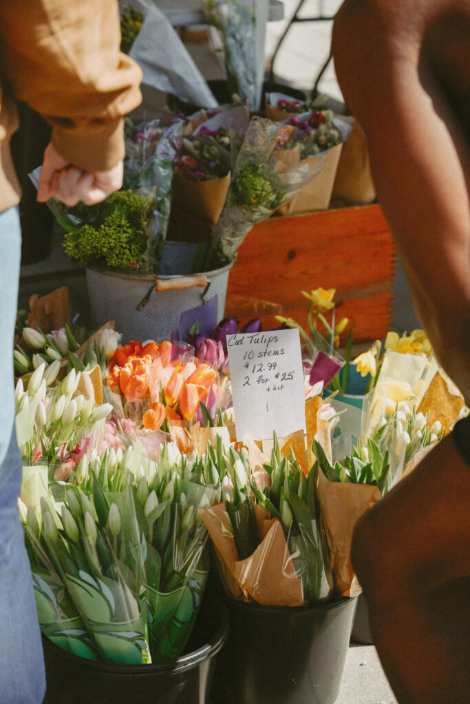 tulips in buckets
