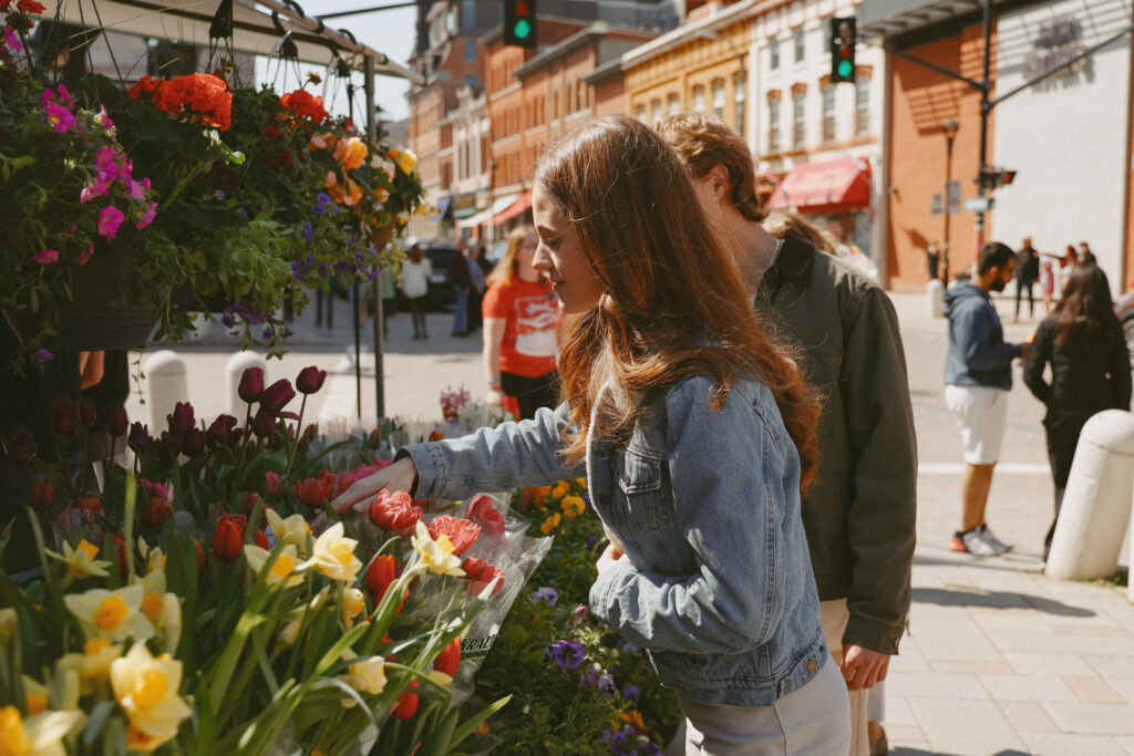 Couple shops for tulips in Kingston, ON Springer Market Square.