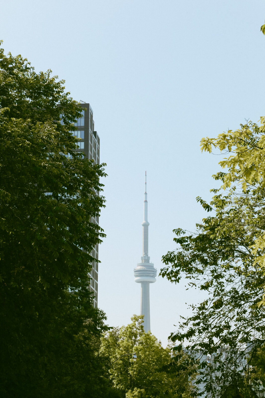 Trinity College Toronto
University of Toronto wedding
Toronto wedding photographer
Moody wedding at Trinity College